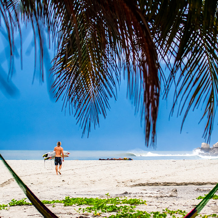 Man walking on a sandy beach with palm leaves and clear blue sky