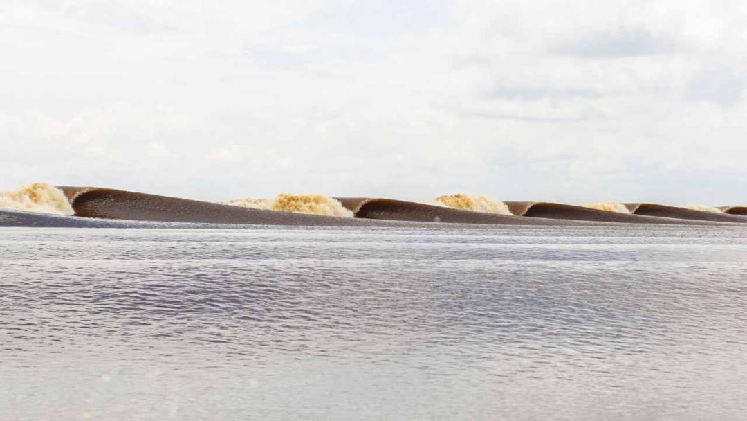 The Search: Seven Ghosts