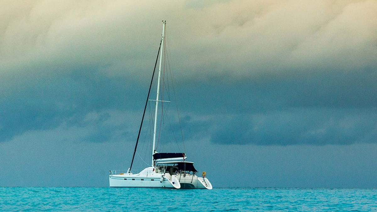 The Search: An Nou Ay