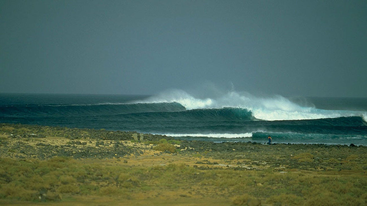 The Search: Search 1