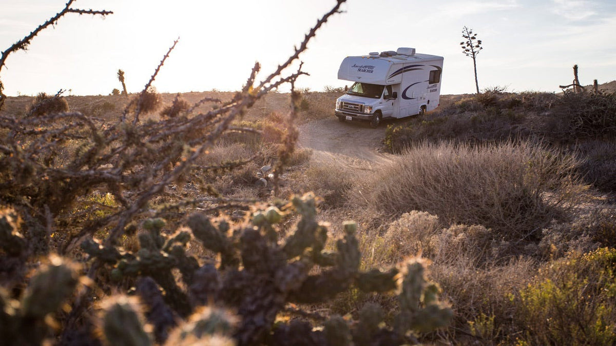 Caravan in the desert