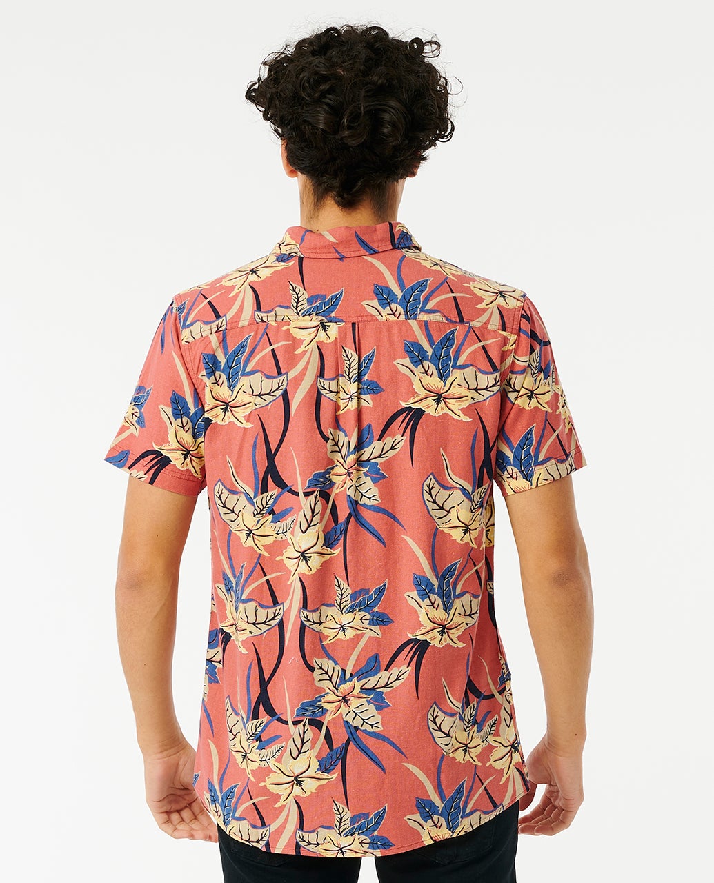 01IMSH_8114_3_1759111052000