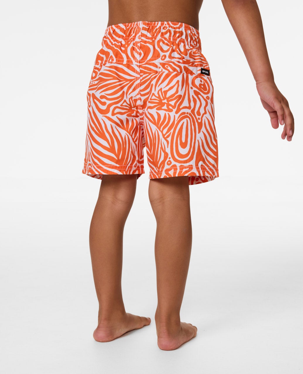 02GTBO_8494_2_1759114015000