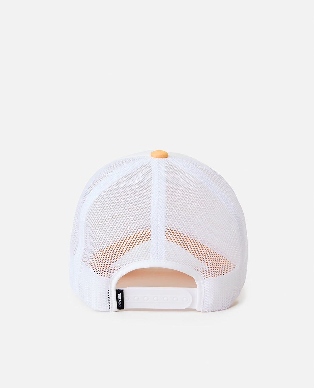 04CWHE_2304_3_1759118558000