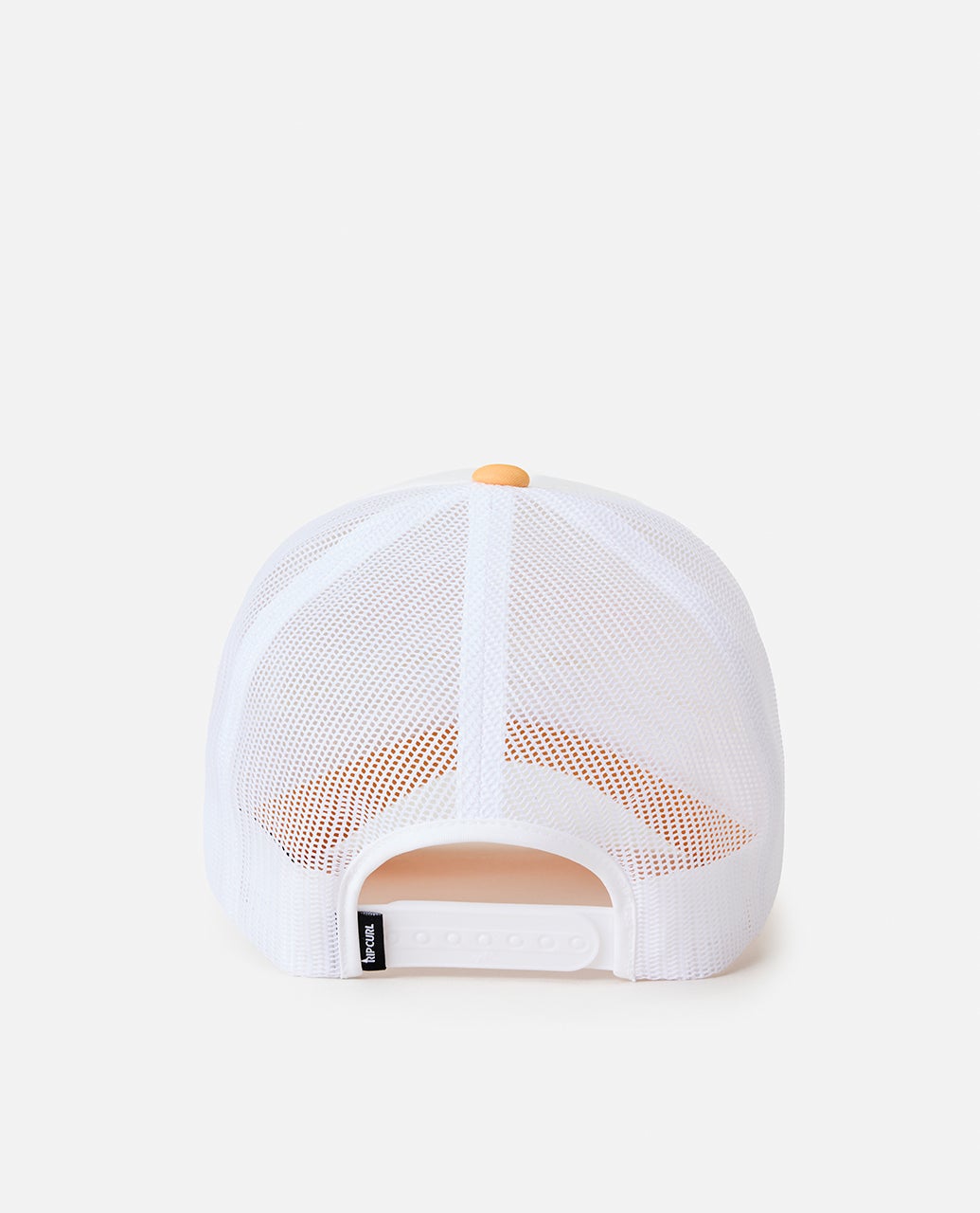 04CWHE_2401_3_1759118559000