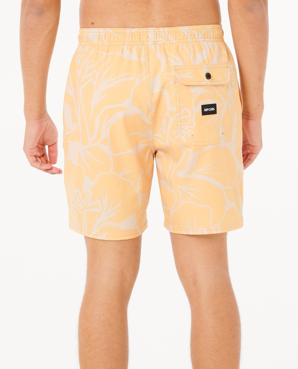 0BPMBO_8065_3_1759126786000