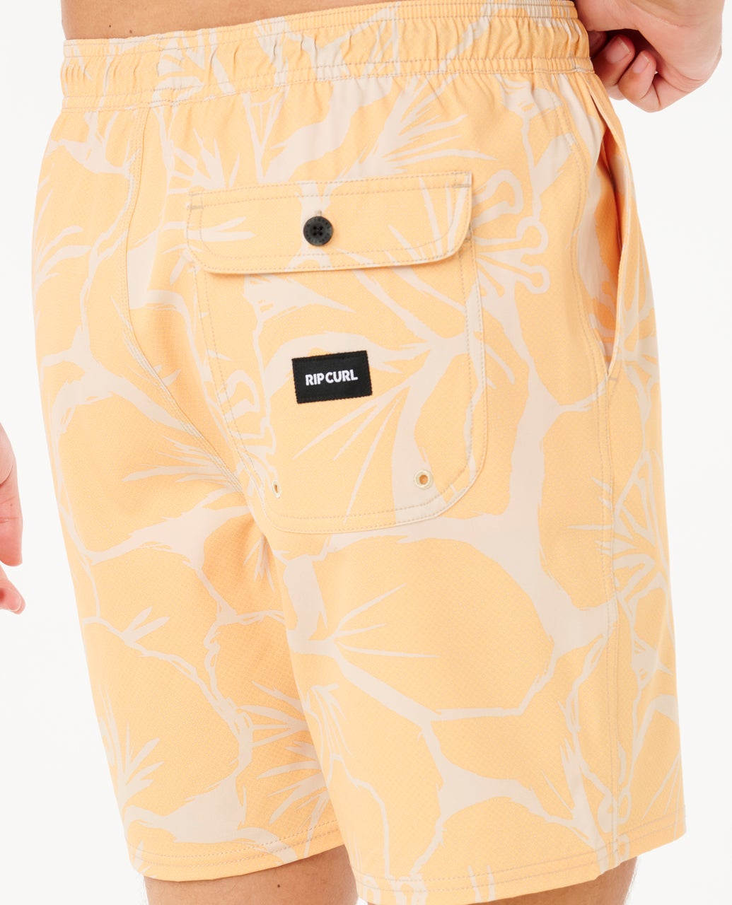 0BPMBO_8065_5_1759126787000