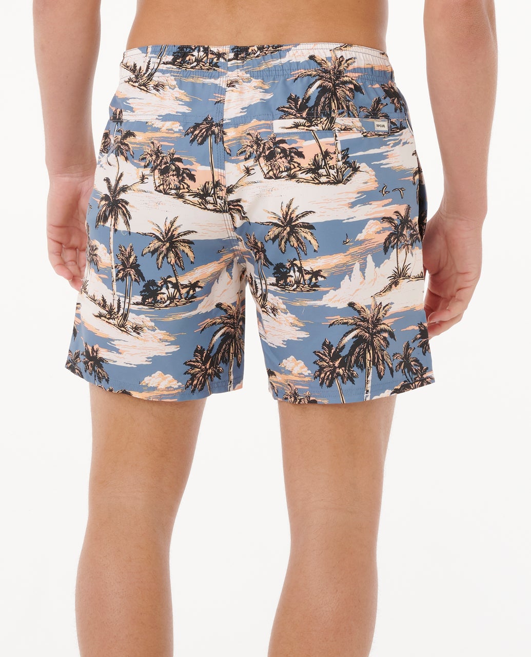 0BVMBO_2361_3_1759127063000