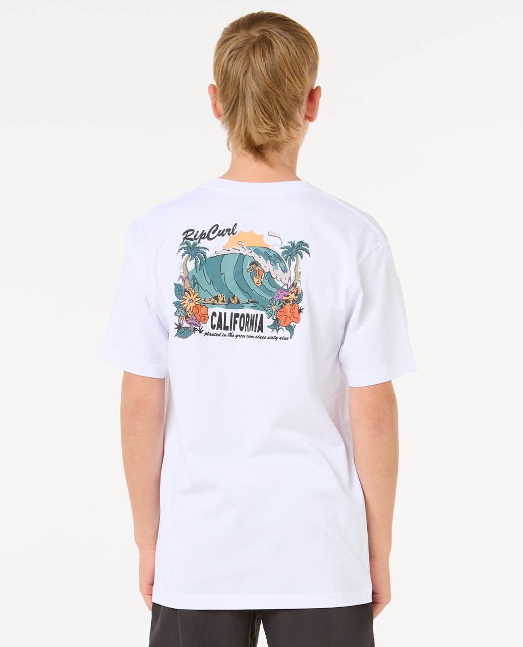 11ABTE_0867_3_1759135410000