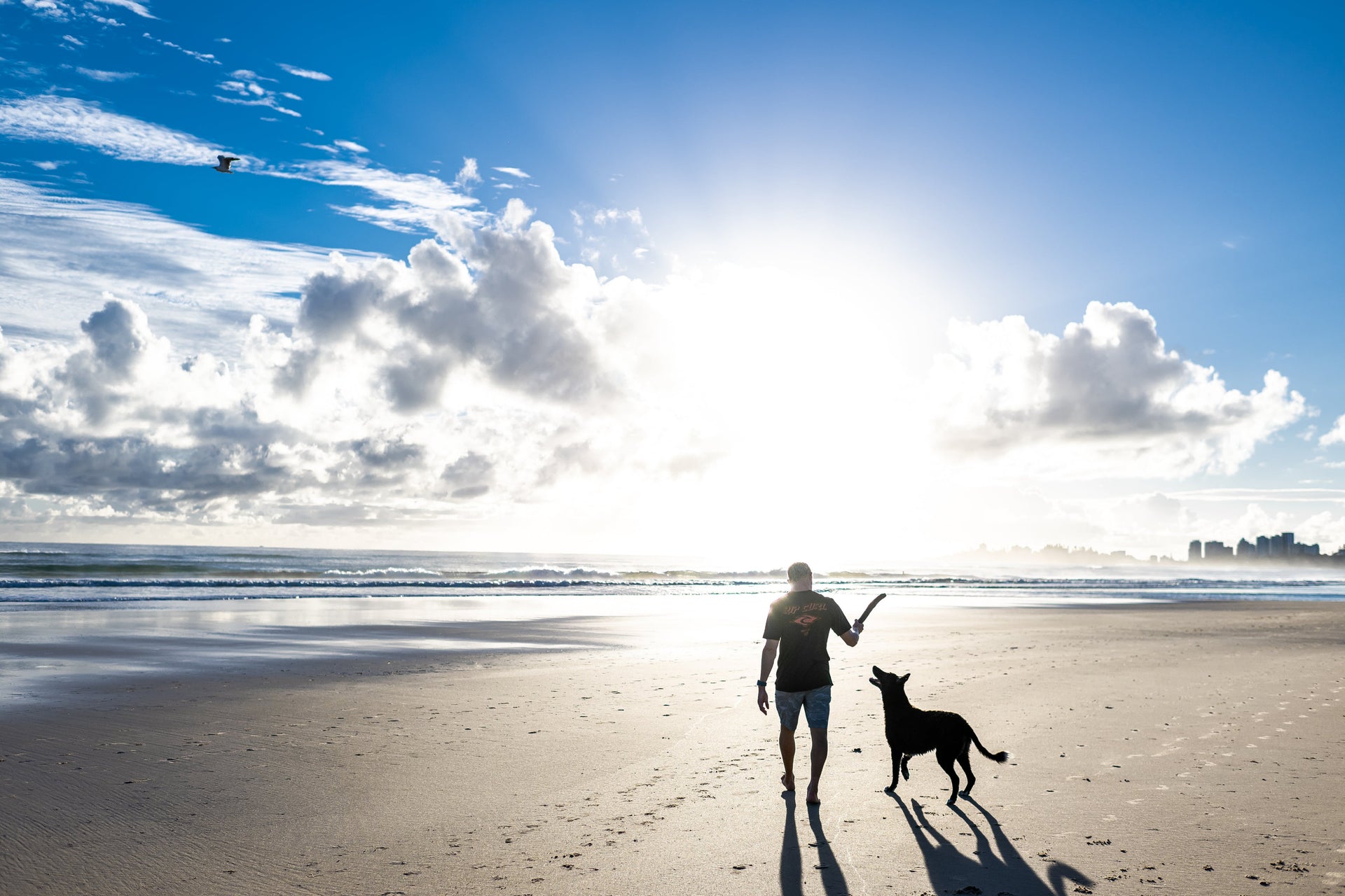 Person and dog walking on a beach with a blue sky and clouds