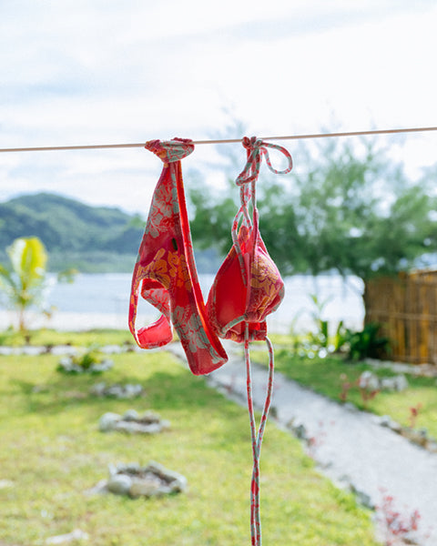Red patterned bra and panties hanging on a clothesline with a scenic background.