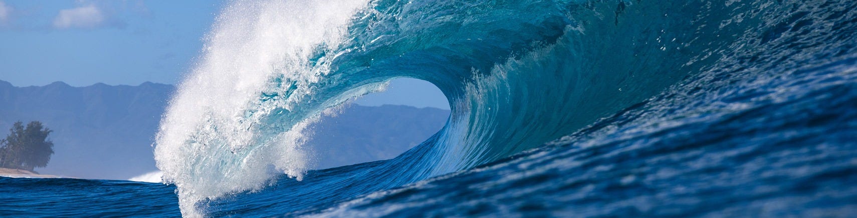 Rash Vests Rash Vests