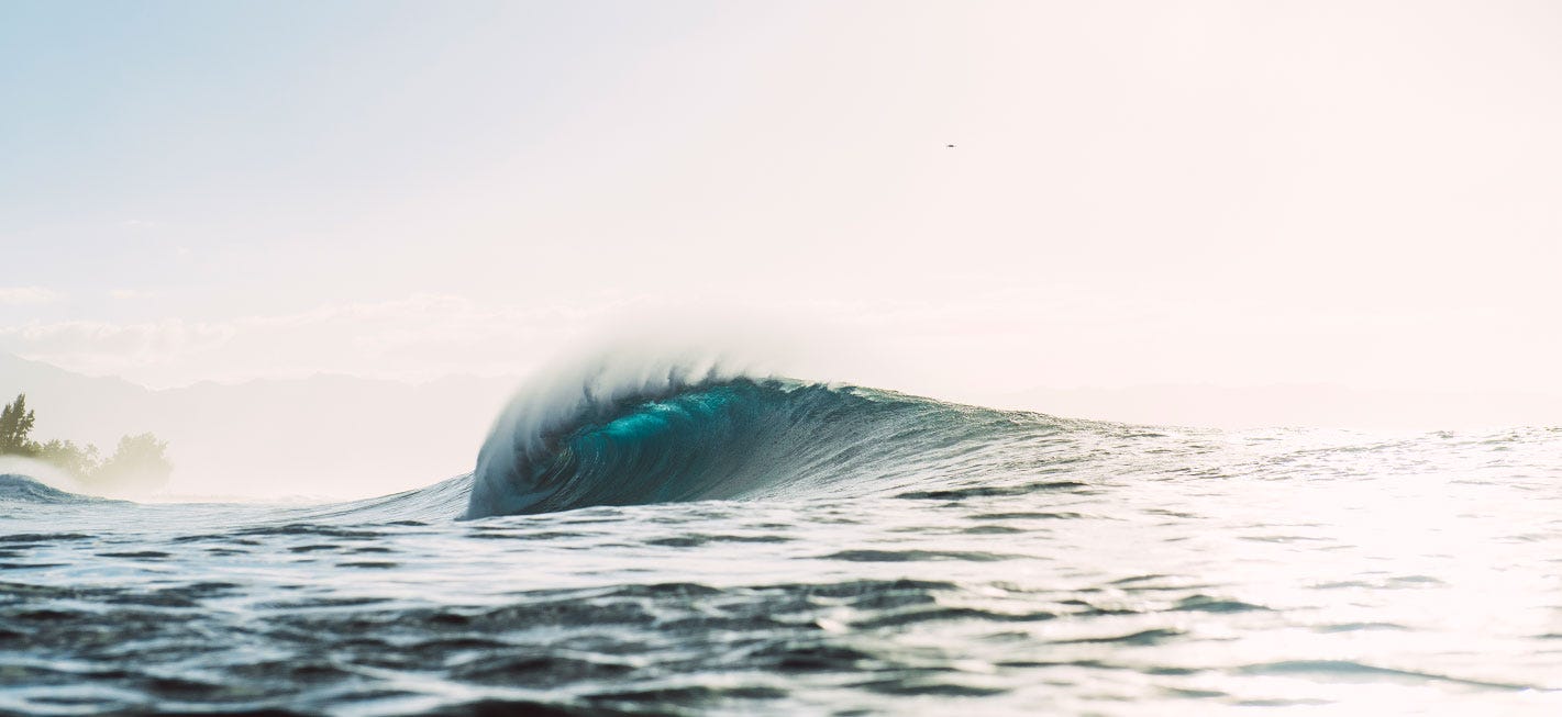 Surfboards Surfboards