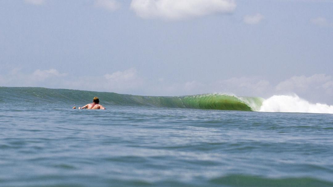 The Waves Surfed On The Search