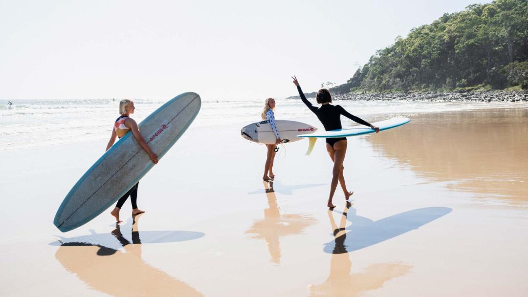 Shortboard longboard shop