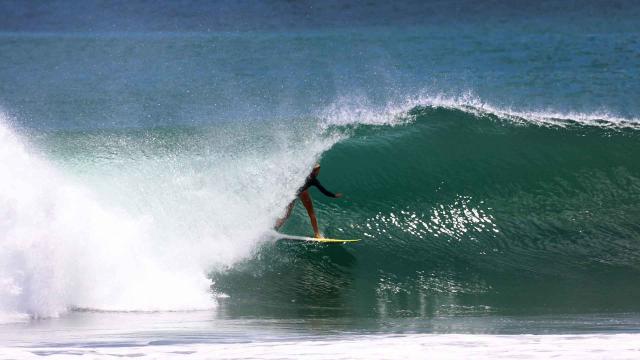 Erin Brooks And Luke Swanson's Central American Score