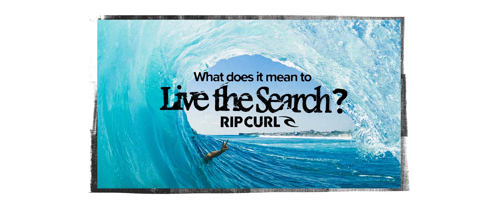 What does it mean to Live The Search? 