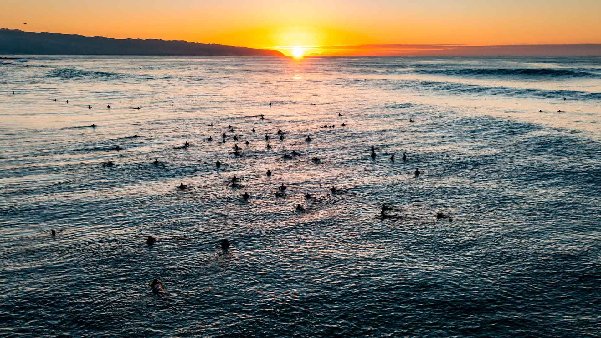 Crowded line up in North Shore, Hawaii