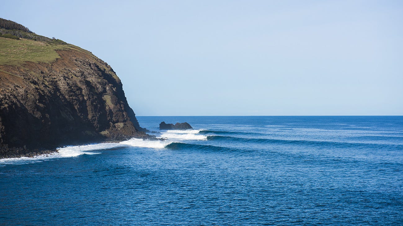 pointbreak surf avec une houle magnifique