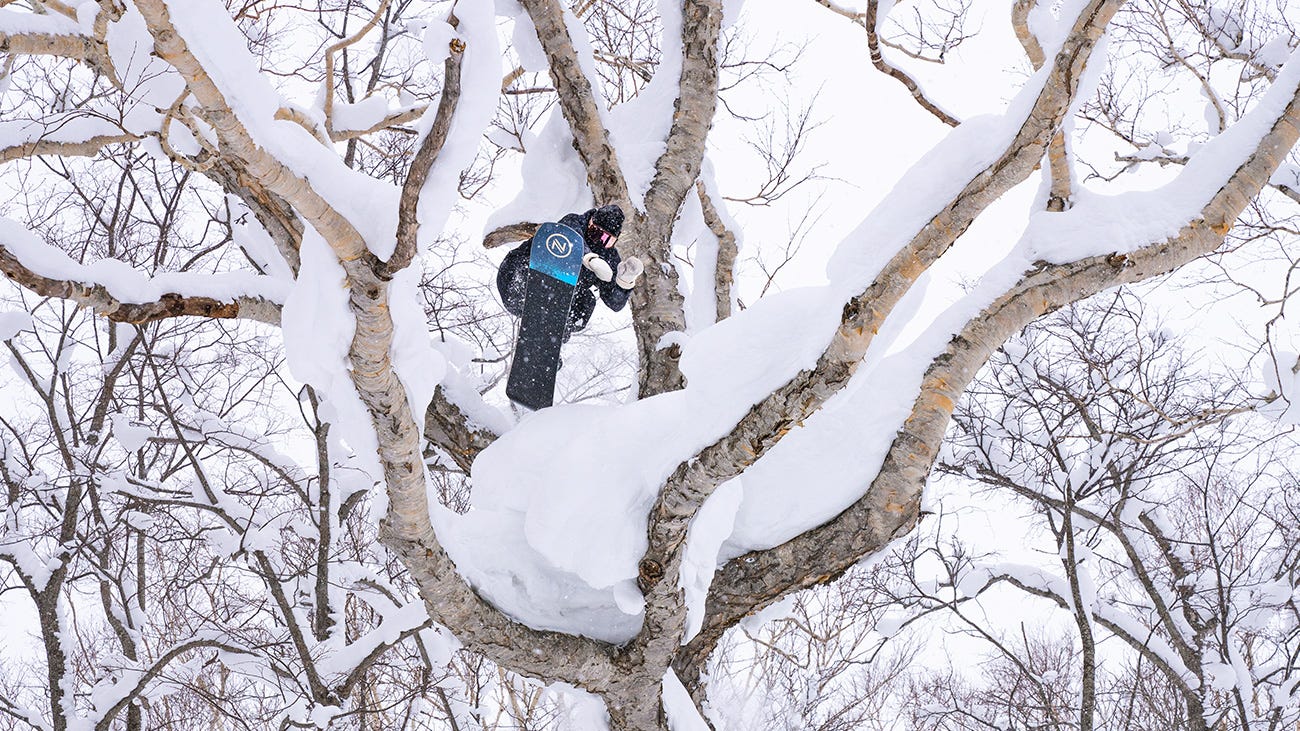 French snowboarder jumping over a snowy tree